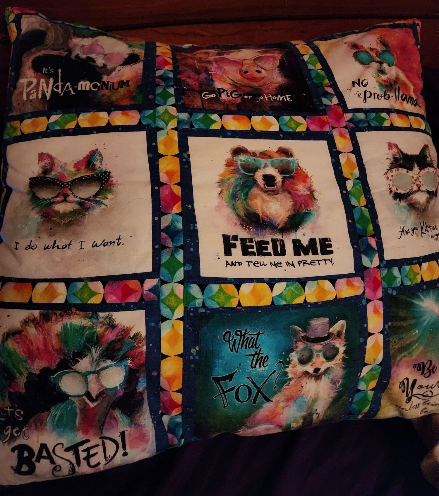 Sassy Animals pillow