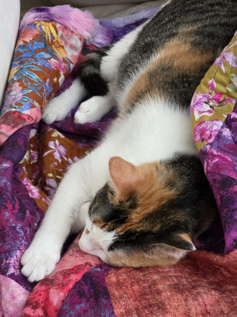 A calico cat sleeping peacefully on a colorful patterned blanket.