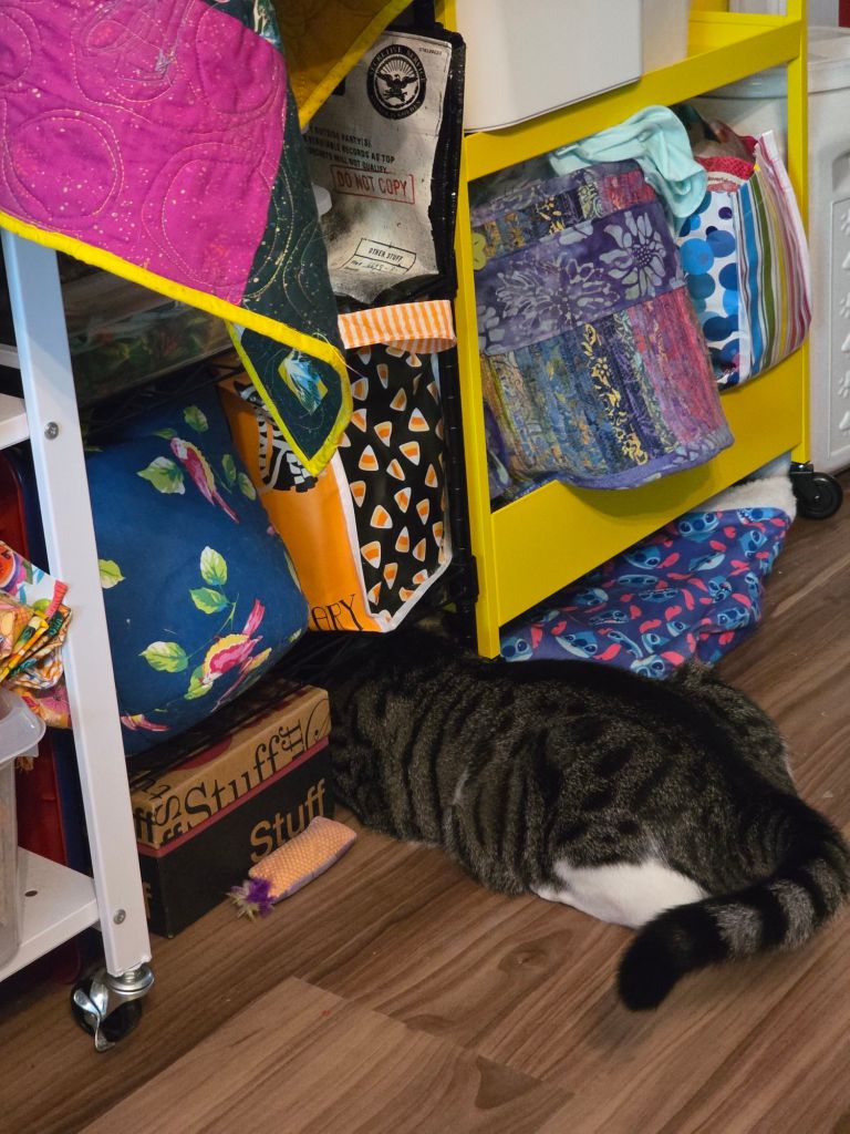 A striped cat is peeking under a shelving unit filled with colorful fabric and storage bins, with a playful toy nearby.