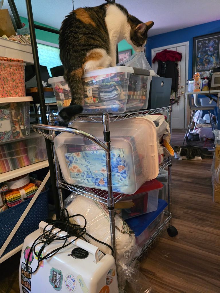 A calico cat perched on top of a stack of clear plastic storage bins filled with various craft materials, in a cluttered room with colorful decor.
