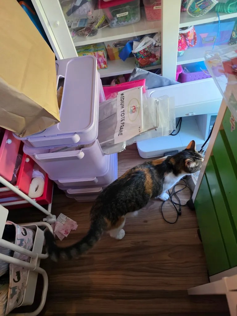 A calico cat exploring a cluttered room filled with colorful storage bins and crafting materials.
